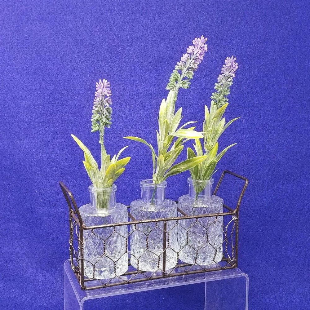 Wire Mesh Basket Glass Bottles Craft Wedding Farmhouse Shabby Chic Rustic
